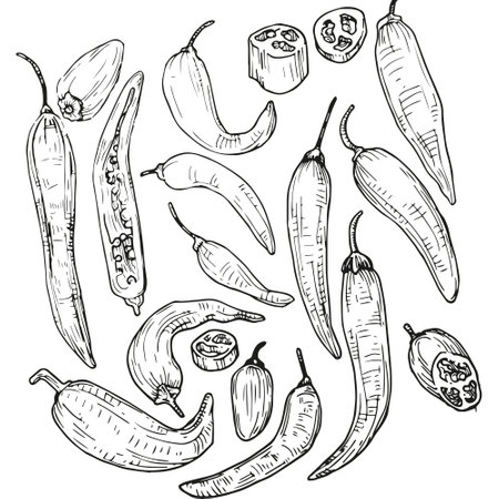 Vector graphic monochrome set with chili pepper is an ingredient in national cuisines. National Mexican, Southern Cuisine Contour Collection. Image for textiles, scrapbookingのイラスト素材