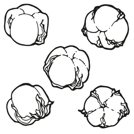 Contour monochrome set of cotton boxes for decorating New Year's decorations. Vector graphic for decor, scrapbooking, holiday designのイラスト素材