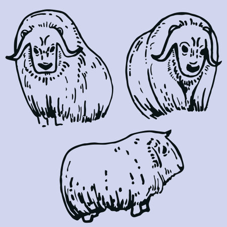 Contour set of monochrome stylized northern muskies. Vector image for holiday invitations, packaging, scrapbooking, children'sのイラスト素材