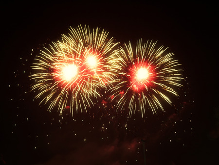 Colorful fireworks on the black sky for new year
