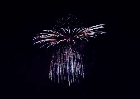 Colorful fireworks on the black sky for new yearの写真素材