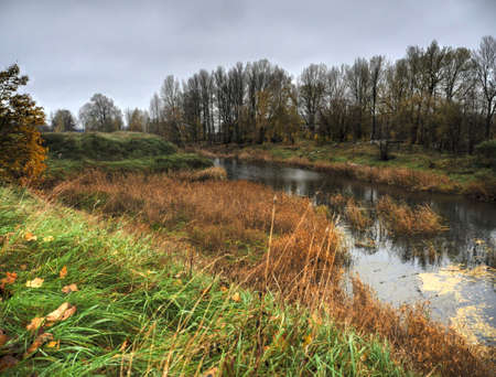 Beatiful nature in the park in autumn