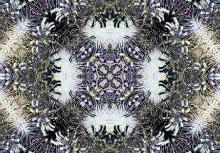 Ethnic pattern. Abstract kaleidoscope fabric design textureの写真素材