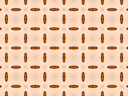 Brown Ethnic pattern. Abstract kaleidoscope fabric design.の写真素材