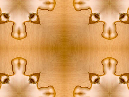 Brown Ethnic pattern. Abstract kaleidoscope fabric design.の写真素材