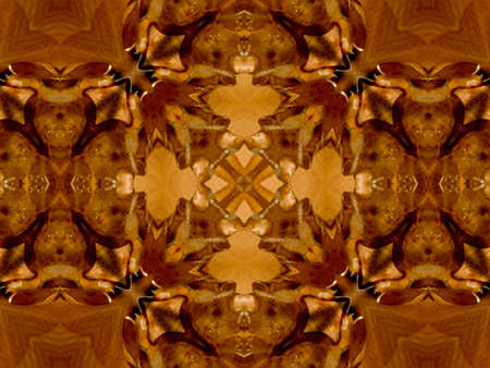 Brown Ethnic pattern. Abstract kaleidoscope fabric design.の写真素材