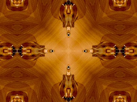 Brown Ethnic pattern. Abstract kaleidoscope fabric design.の写真素材