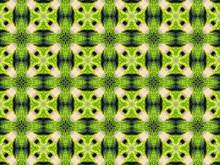 Green Ethnic pattern. Abstract kaleidoscope fabric design.の写真素材