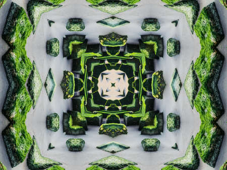Green Ethnic pattern. Abstract kaleidoscope fabric design.の写真素材