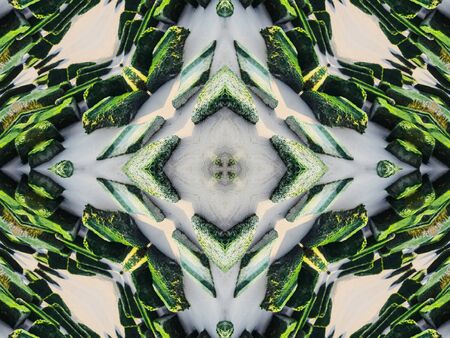 Green Ethnic pattern. Abstract kaleidoscope fabric design.