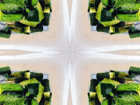 Green Ethnic pattern. Abstract kaleidoscope fabric design.の写真素材