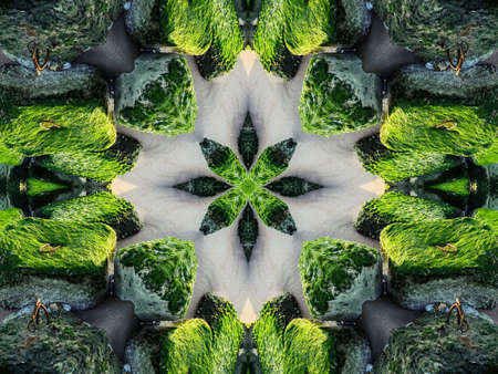 Green Ethnic pattern. Abstract kaleidoscope fabric design.の写真素材