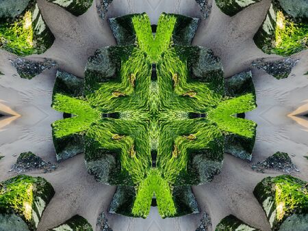 Green Ethnic pattern. Abstract kaleidoscope fabric design.の写真素材