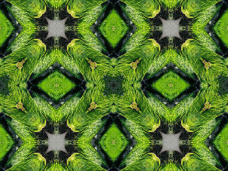 Green Ethnic pattern. Abstract kaleidoscope fabric design.の写真素材