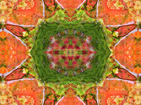 orange color drawing in kaleidoscope pattern - orange color drawing in kaleidoscope pattern for backgroundの写真素材