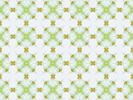 Green abstract kaleidoscope background texture, star designの写真素材