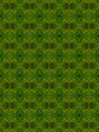 Green abstract kaleidoscope background texture, star design