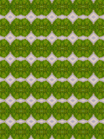 Green abstract kaleidoscope background texture, star designの写真素材