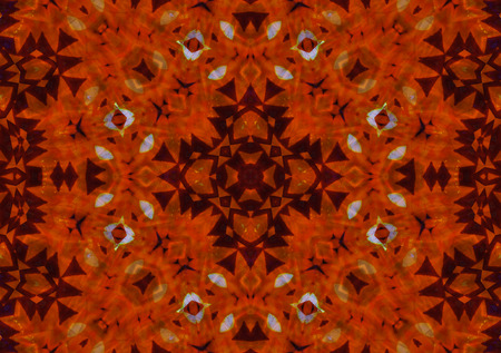 Pattern of Macro marigold orange flower, kaleidoscope