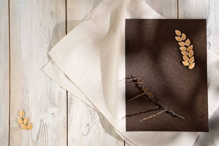 A dry branch of sea buckthorn and pumpkin seeds on a brown-beige background with the shadow of a...