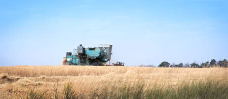 Retro harvester working in the field against