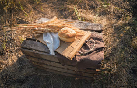 Bread and wheat in natural conditions in nature, still life in art processing.の写真素材