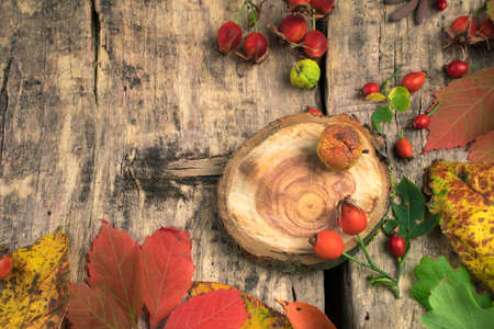Festive autumn mockup of berries and leaves on a natural wooden background. Autumn composition with...