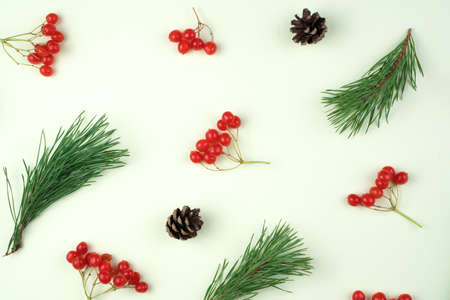 Red viburnum, cones and pine branches are singly arranged on a light green background. Holiday...