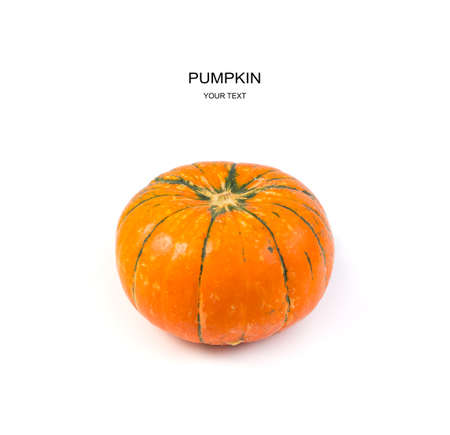 Ripe pumpkin isolated on a white background. Side view with space for copying. The concept of natural products.の写真素材