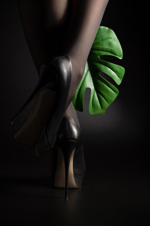 Womens feet in high-heeled shoes and a leaf of a tropical plant on a black background. Side view with space to copy.の写真素材