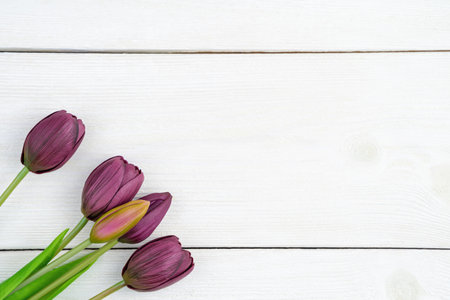 Bouquet with tulips on a white wooden background. Top view, with space to copy. Concept of festive backgrounds, March 8, spring.の写真素材