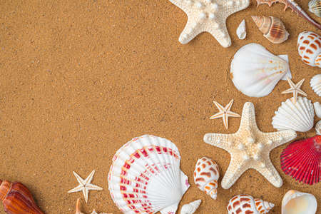 Natural textured sea shore surface with space to copy. Starfish and shells close-up on the sand.の写真素材