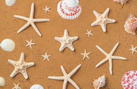 Beach sand with starfish and seashells. Top view, copy space. Summer sea background.