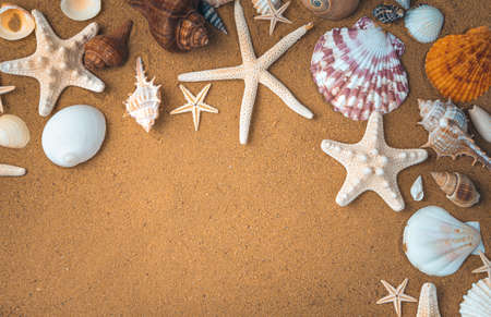 Seashells and starfish frame the sandy beach backdrop. Top view, horizontal with space to copy.の写真素材