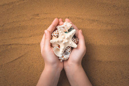 A child holds starfish and seashells against a background of sand. Top view, horizontal.