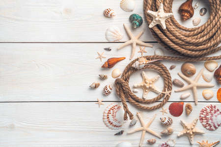 Sea background with different seashells and starfish on a white wooden background with a copy space. Tinted image.の写真素材