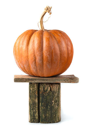 Pumpkin on an old wooden stump. Side view, vertical. The concept of Halloween.の写真素材