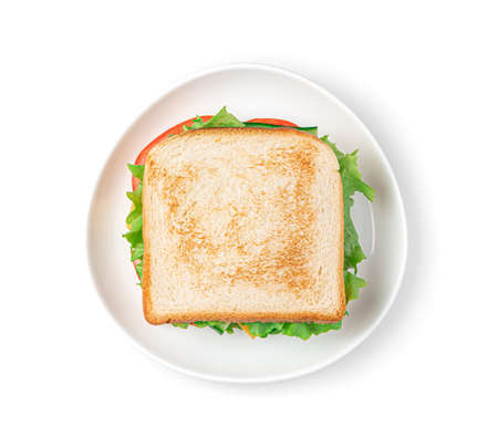 Sandwich with vegetables, cheese and turkey on a white plate. Top view.の写真素材