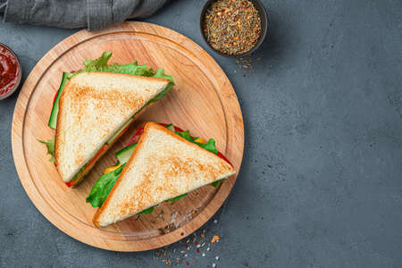 Sandwiches with turkey and fresh vegetables on a gray-blue background. Top view, copy space. Fast food.の写真素材