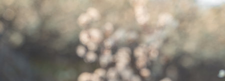 Blurry abstract background. Spring flowering branches on a dark background. panorama.