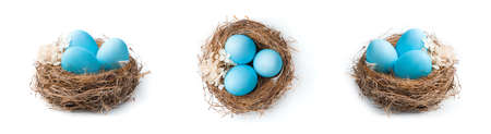 A set of nests with blue Easter eggs in different angles isolated on a white background. The concept of Easter.の写真素材