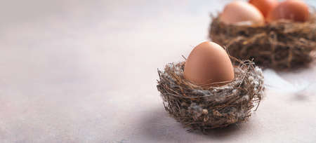Chicken egg in the nest close-up on a light background. Side view, copy space. Selective focus.の写真素材