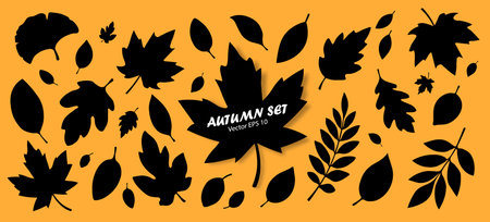 A set of silhouettes of autumn leaves, isolated on an orange background. Hello autumn. Elements for autumn designs. Vector EPS 10.のイラスト素材
