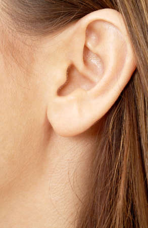 color closeup picture of brunette girl earの写真素材