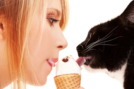 picture of lovely girl and cat with ice creamの写真素材