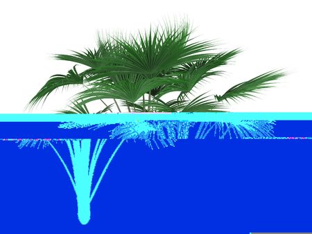 picture of teenage girl with butterflies over whiteの写真素材