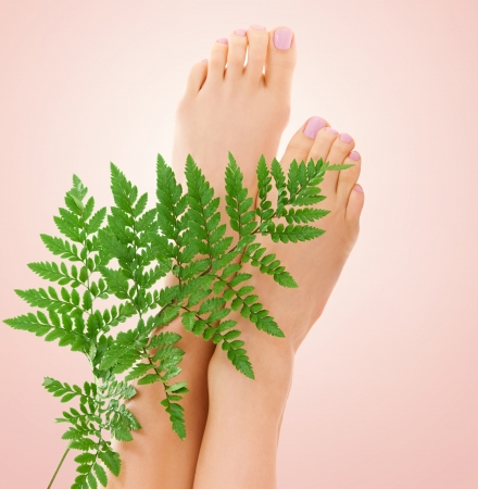 picture of female feet with green fern leaf over beige backgroundの写真素材