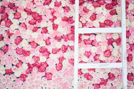 background full of white and pink roses and old ladderの写真素材