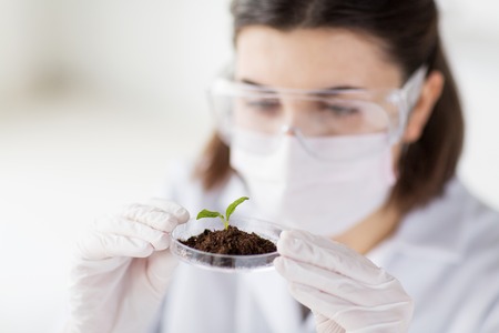 science, biology, ecology, research and people concept - close up of young female scientist wearing protective mask holding petri dish with plant and soil sample in bio laboratoryの写真素材