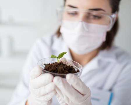 science, biology, ecology, research and people concept - close up of young female scientist wearing protective mask holding petri dish with plant and soil sample in bio laboratoryの写真素材